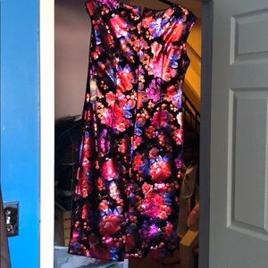 NWT Beautiful velvet metallic floral dress